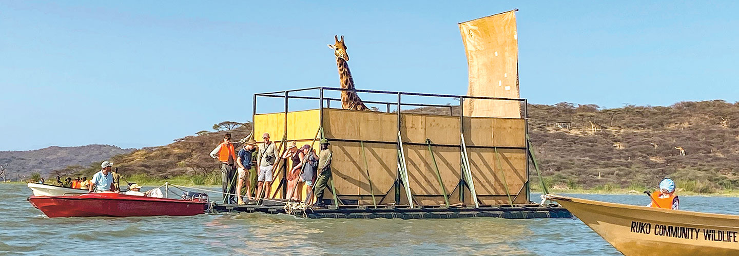 people on a makeshift river raft with a giraffe looking over the four walls