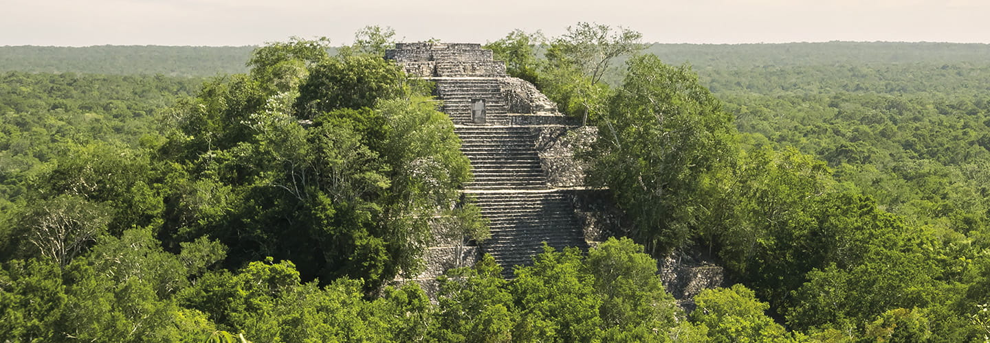 Image of a pyramid surrounded by greenery